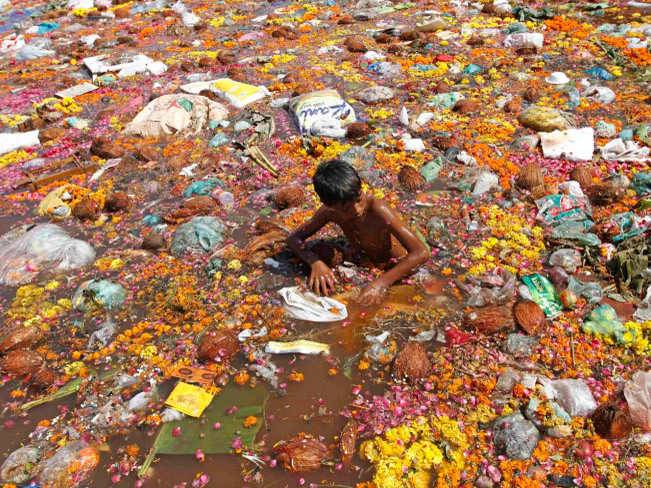 Một cậu bé nhặt dừa do những người đi cúng bái ném xuống dòng sông Sabarmati sau lễ cúng thần Ganesh, thần voi của đạo Hindu, biểu tượng của thịnh vượng ở thành phố Ahmedabad, miền tây Ấn Độ