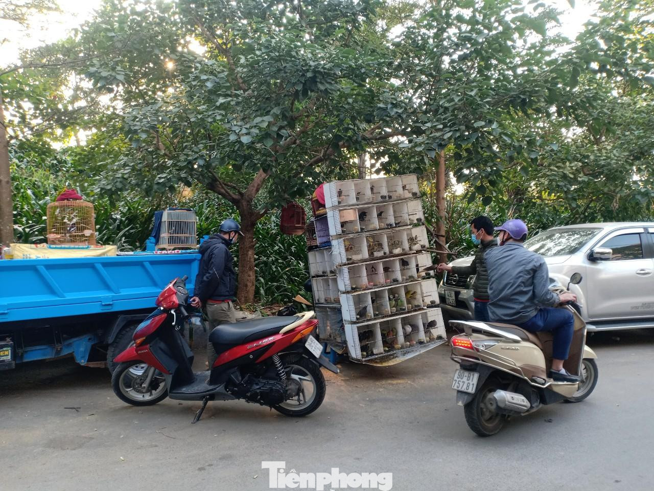 Chợ chim khiến con đường chỉ có chiều ngang khoảng 4m này càng bị thu hẹp, giao thông bị cản trở.