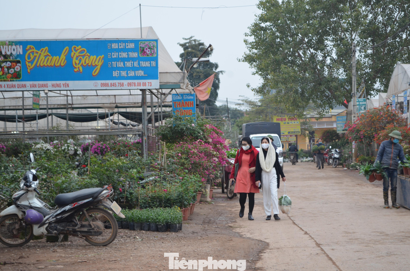 Ngày cuối cùng của năm 2021, rất nhiều người dân cũng về làng hoa tự chọn cho mình những loài hoa, cây cảnh mà mình yêu thích.