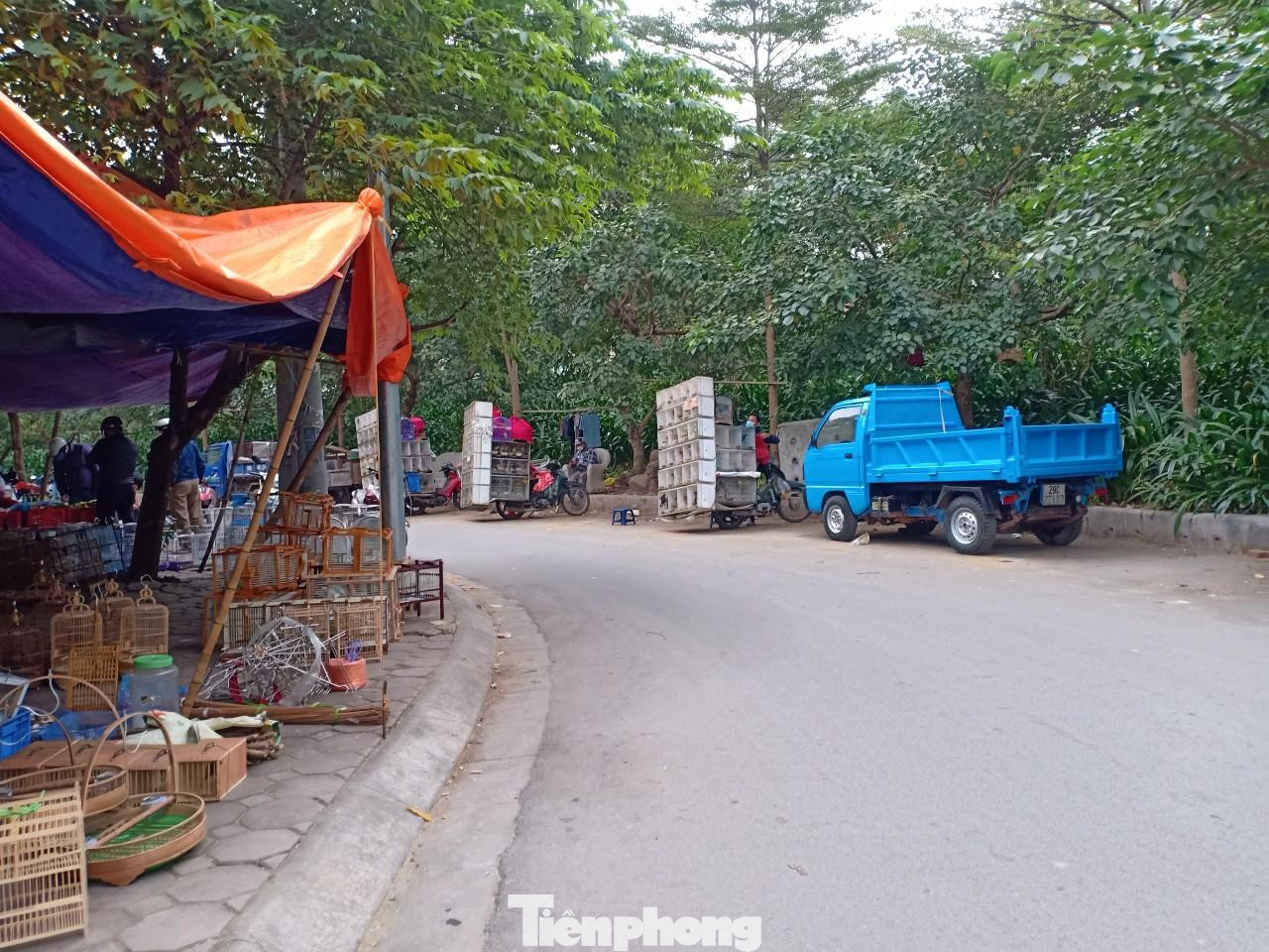 Chim được bày bán cả trên vỉa hè và lòng đường