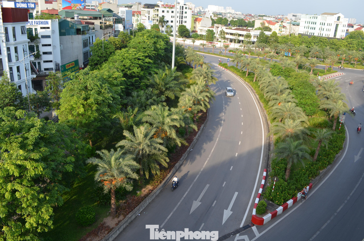 Ngắm hàng cây chà là xanh tốt trên nút giao thông Long Biên - Nguyễn Văn Cừ từ điểm cầu vượt tại nút giao.