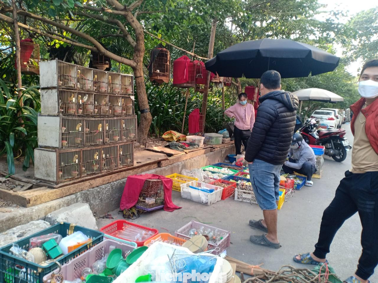 Dịch vụ ăn theo như lồng chim, thức ăn, vật dụng nuôi chim được bày bán tràn lan cả lòng đường.
