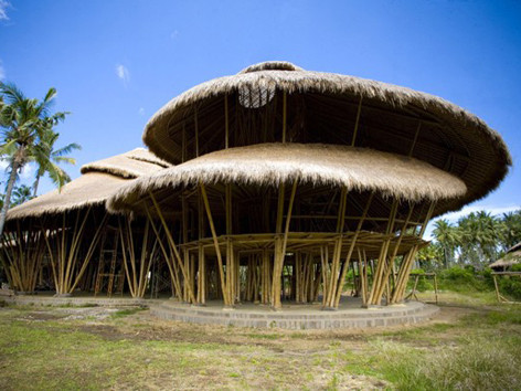 Green School được thành lập vào tháng 12/2008 bởi John Hardy và vợ là Cynthia Hardy. Green School nằm dọc con sông Ayung gần Ubud, Bali, Indonesia. Các phòng học ở Green School được xây dựng hoàn toàn bằng vật liệu sẵn có trong tự nhiên từ tre và cỏ, tường được xây bằng bùn theo truyền thống của người Indo, do đó nó còn có cái tên khác là “Làng Tre”. Niềm tự hào của học sinh “Làng Tre” chính là khu nhà lớn nhất của trường, được gọi là “Trái tim Green School”, có chiều dài 60m, sàn được lát từ 2.500 cọc tre. Ngoài ra, các đồ vật khác như bàn, ghế… cũng đều được làm từ tre