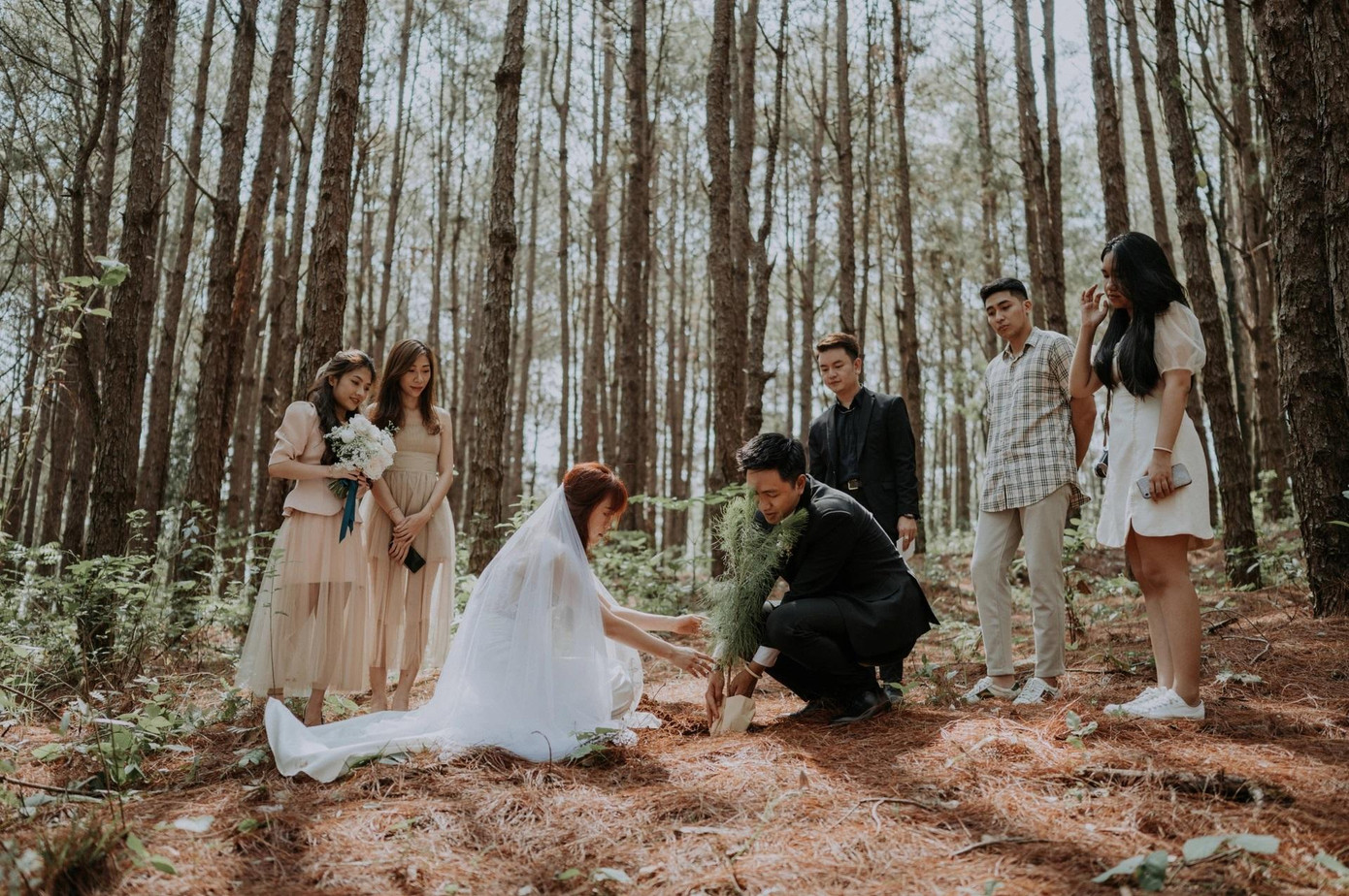 Cuối buổi lễ, cô dâu và chú rể cùng trồng một cây thông trong rừng. Cuối buổi lễ, cô dâu và chú rể cùng trồng một cây thông trong rừng.