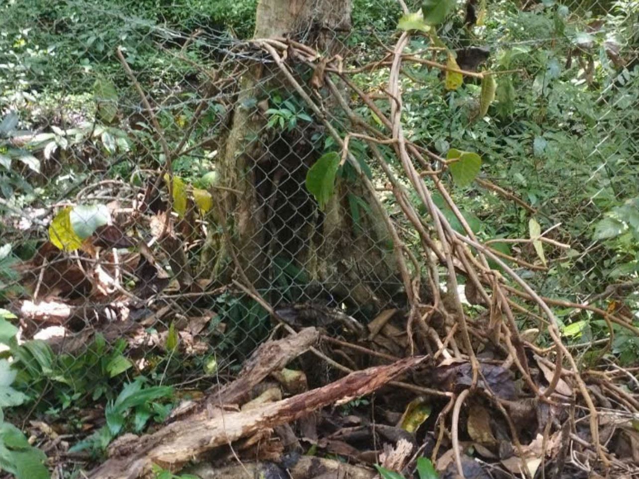 Khu vực rào bị nghiêng đổ