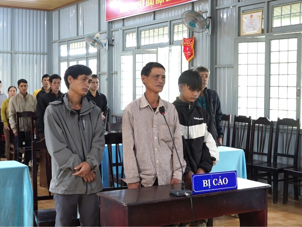 Các bị cáo tại phiên tòa Các bị cáo tại phiên tòa