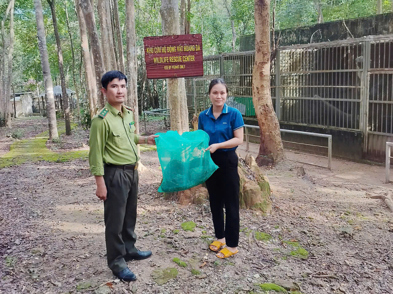 Hạt Kiểm lâm thành phố Kon Tum bàn giao cá thể trăn đất