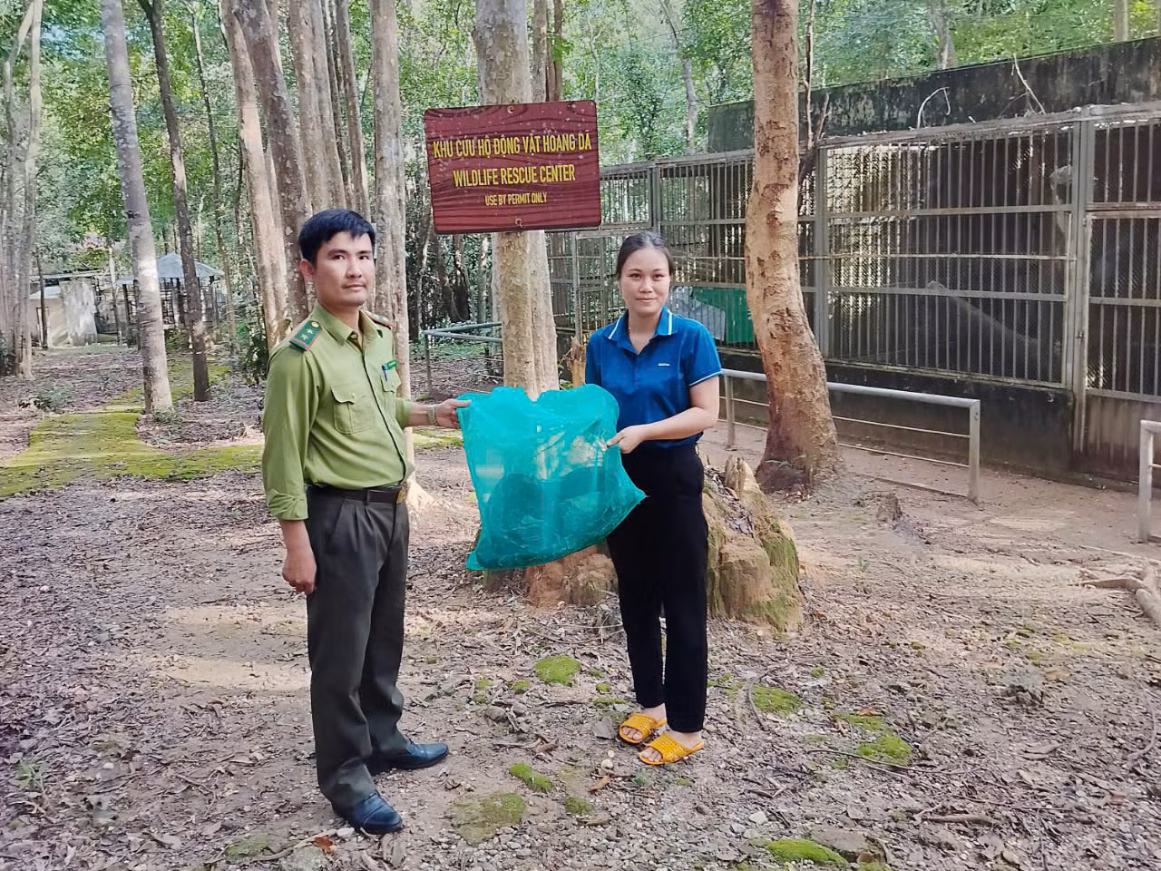 Hạt Kiểm lâm thành phố Kon Tum bàn giao cá thể trăn đất