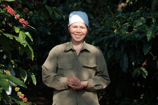 Cây cà phê - 'chiếc cần câu' thay đổi cuộc sống người nông dân ảnh 1