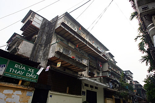 Với đủ các hình dạng và kích thước