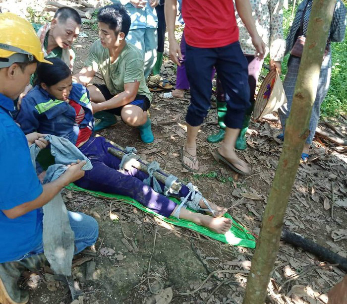 Sạt lở đất đá khi đi bóc quế, 4 người thương vong ảnh 1