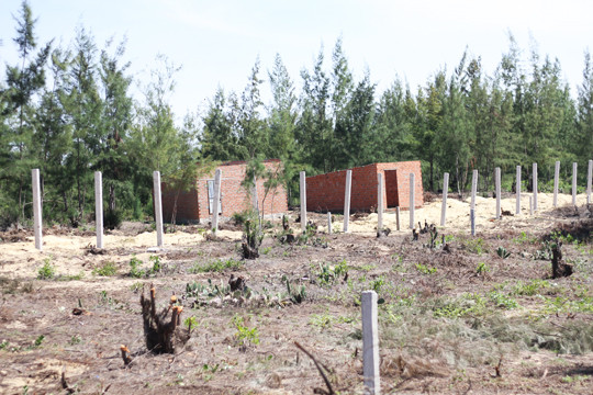 Trang trại nuôi bò thành khu du lịch sinh thái 'khủng' trái phép ảnh 7