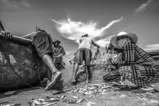 'Biển trong chúng ta', vạm vỡ và quặn thắt ảnh 3