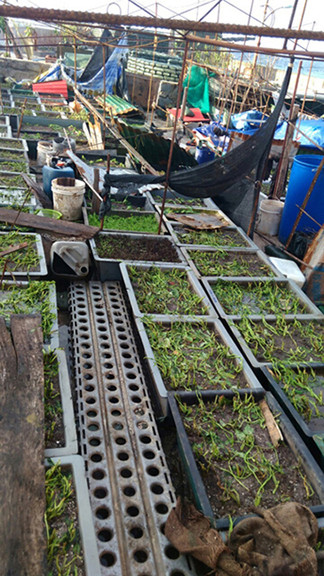 Bão Tembin quét qua Trường Sa, nhiều tài sản hư hỏng ảnh 8