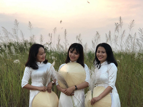 Bức tranh tuyệt tác mang tên hoa cỏ lau bên dòng Trà Khúc ảnh 10