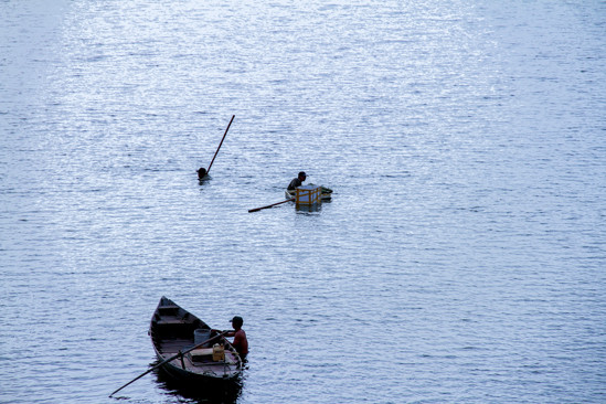 Đằm mình giữa sông Hàn lặn bắt 'lộc trời' ảnh 1