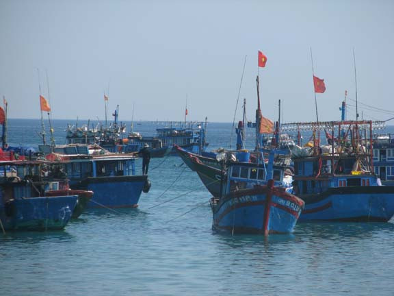 Tàu cá của ngư dân Bình Châu vừa cập bến - ảnh Trần Tuấn 'Hỏa tốc' với dự án sân golf, resort 3.800 ha trùm cả ra đảo Lý Sơn! ảnh 3
