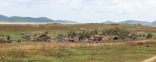 Người dân Phú Yên đổ xô đào đá đen bán giá 4 triệu đồng/kg ảnh 2