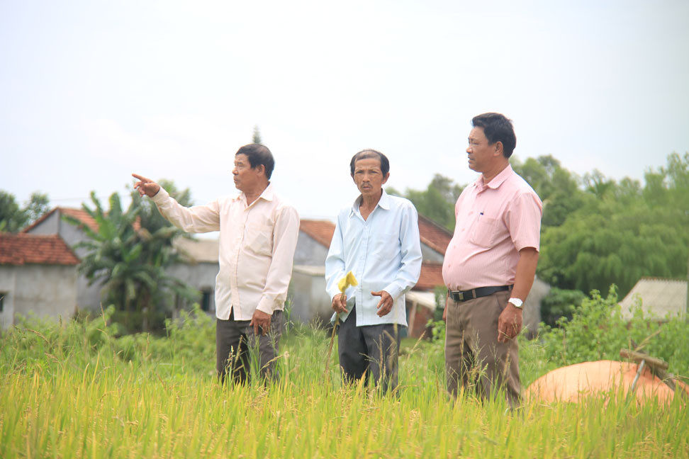 1.500 thửa đất bị 'cấp nhầm' sổ đỏ suốt nhiều năm ảnh 2