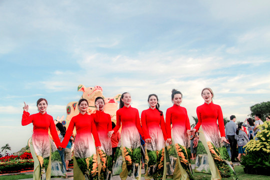 Biểu tượng linh vật tết Kỷ Hợi của Bình Định là heo bố mẹ và 9 heo con ảnh 6