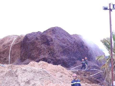 Cháy lớn tại kho dăm gỗ, hàng trăm tỷ đồng bị thiêu rụi ảnh 1