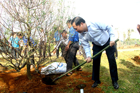 Lần đầu tiên đưa cây hoa đào về xã miền núi Vĩnh Sơn ảnh 1