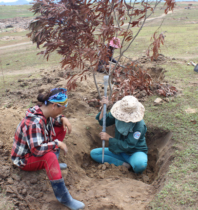 Người dân Phú Yên đổ xô đào đá đen bán giá 4 triệu đồng/kg ảnh 7
