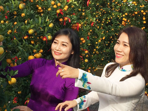 Độc đáo lễ hội quất cảnh ở Hội An ảnh 3