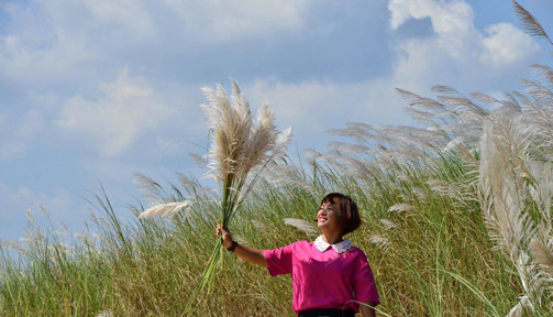 Bức tranh tuyệt tác mang tên hoa cỏ lau bên dòng Trà Khúc ảnh 6