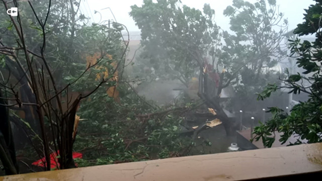 Bão số 16 - Tembin giảm còn cấp 8 - 9, cách Côn Đảo 130km ảnh 29 Bão số 16 - Tembin giảm còn cấp 8 - 9, cách Côn Đảo 130km ảnh 29