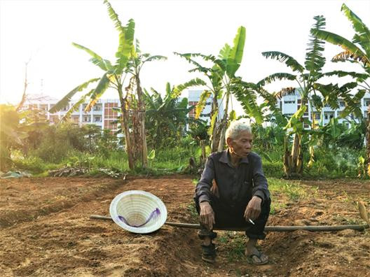 Biến đất trăm tỷ bỏ hoang thành vườn rau sạch ảnh 2