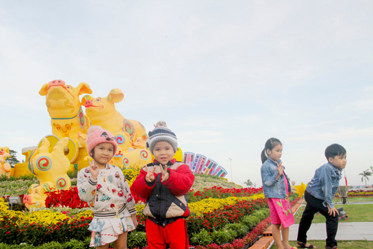 Biểu tượng linh vật tết Kỷ Hợi của Bình Định là heo bố mẹ và 9 heo con ảnh 2