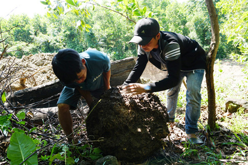 Lạ mà hay người Hre lên rừng đào mối vỗ béo gà re ảnh 2