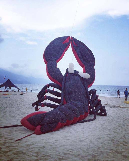 Cả đại dương 'tung bay' trên những cánh diều trước biển Đông Đà Nẵng ảnh 2