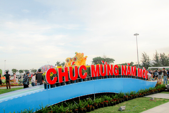 Biểu tượng linh vật tết Kỷ Hợi của Bình Định là heo bố mẹ và 9 heo con ảnh 1