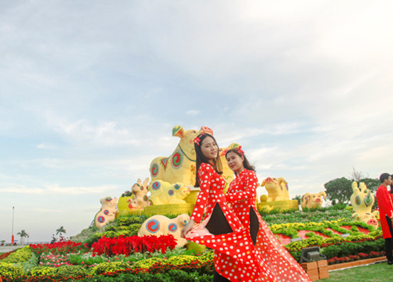 Biểu tượng linh vật tết Kỷ Hợi của Bình Định là heo bố mẹ và 9 heo con ảnh 4