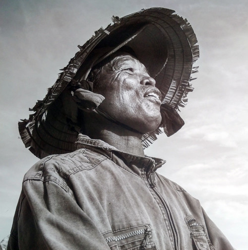 'Biển trong chúng ta', vạm vỡ và quặn thắt ảnh 4