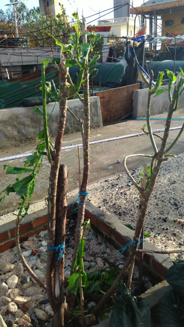 Bão Tembin quét qua Trường Sa, nhiều tài sản hư hỏng ảnh 6