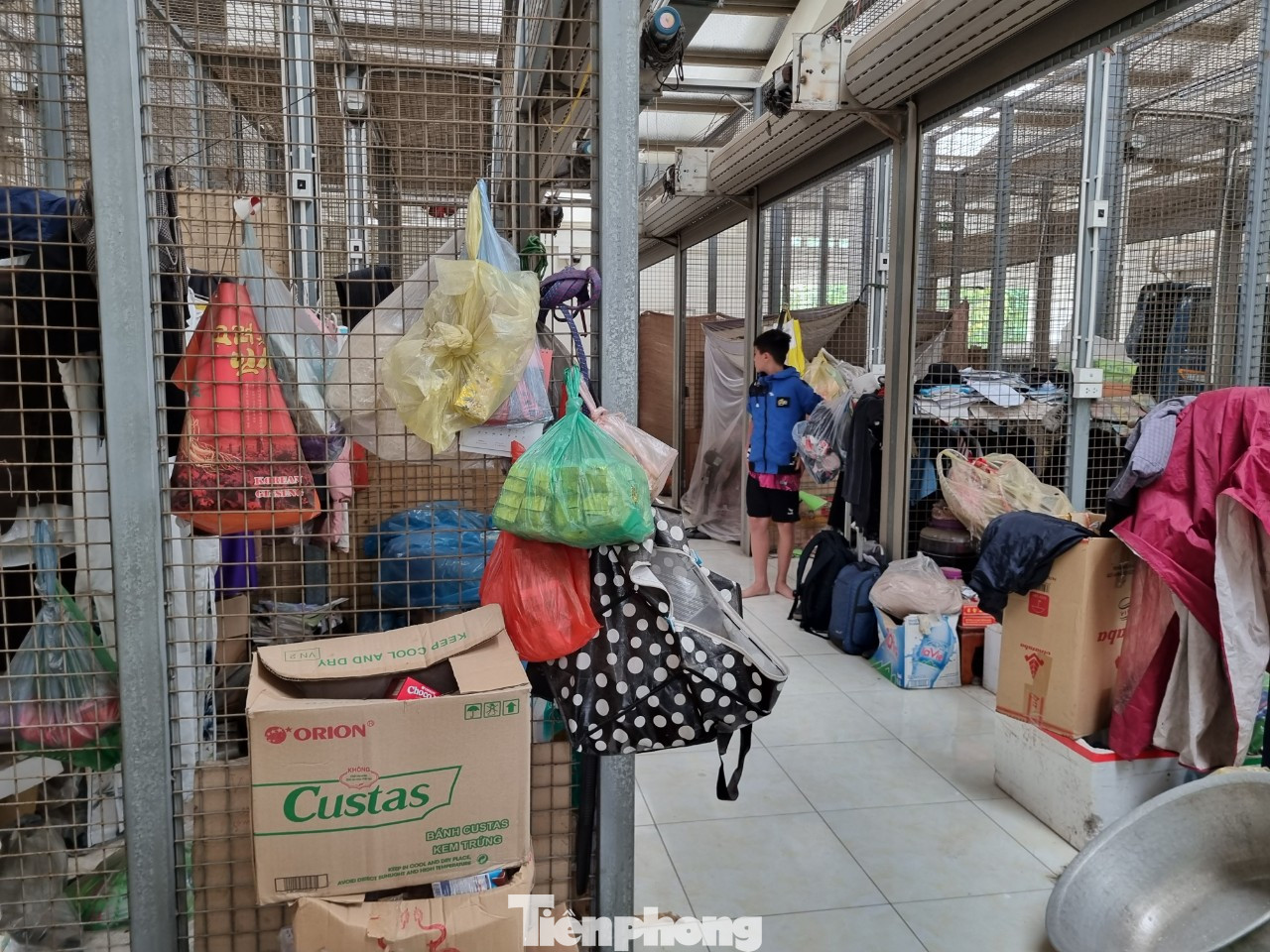 Người dân tự ý vào chợ quây bạt sinh sống.