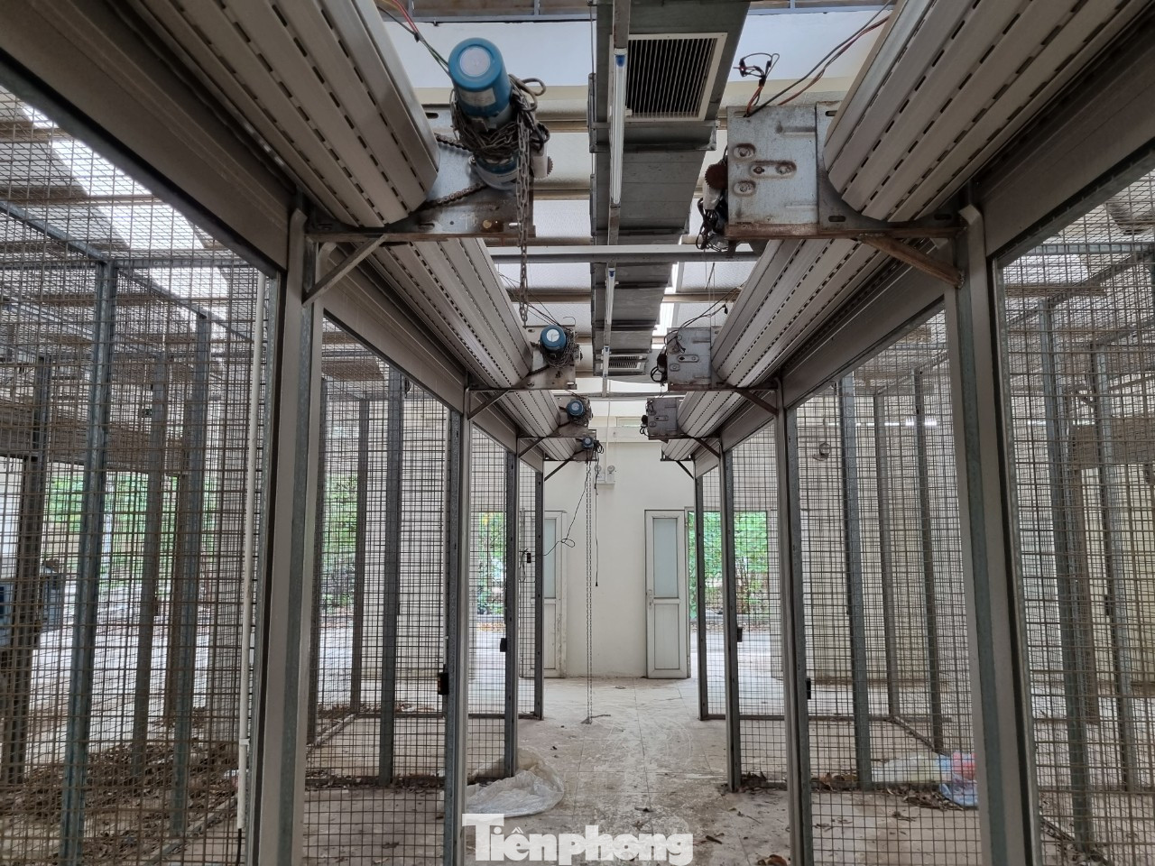 Các gian hàng phủ bụi và rác.