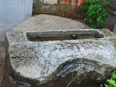 Bia đâu? Còn trơ mỗi lưng rùa 