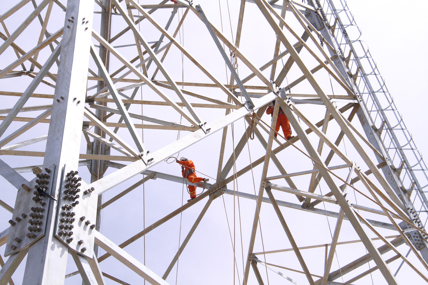 Ngày 18/6, Công ty Điện lực Long An đang quyết tâm lắp hoàn thành các cấu kiện cuối cùng hoàn thành vị trí cột 172 tại xã Đông Hoàng, huyện Đông Sơn, tỉnh Thanh Hóa.