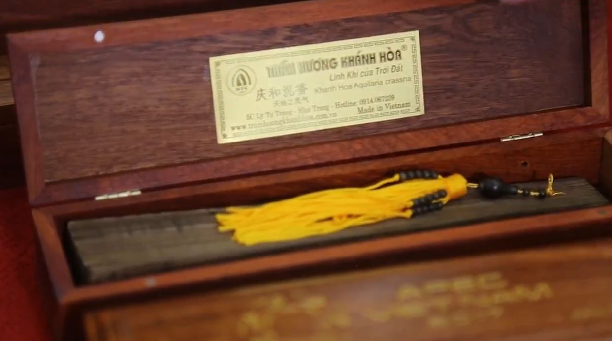 Cận cảnh cây trầm hương quý hiếm tại Tiền Phong Golf Championship ảnh 13