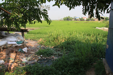 Nước đen ngòm bên cạnh hố ướp ô mai