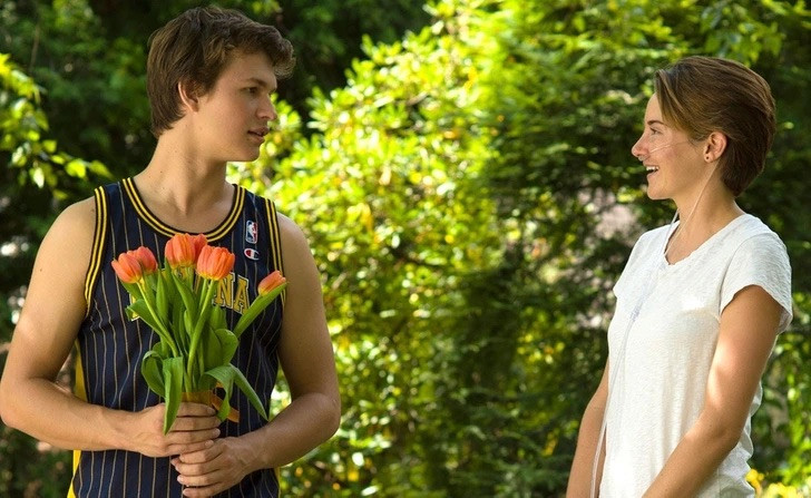 Dựa trên tiểu thuyết của John Green, kể về câu chuyện có thật tại một bệnh viện nhi. Dựa trên tiểu thuyết của John Green, kể về câu chuyện có thật tại một bệnh viện nhi.