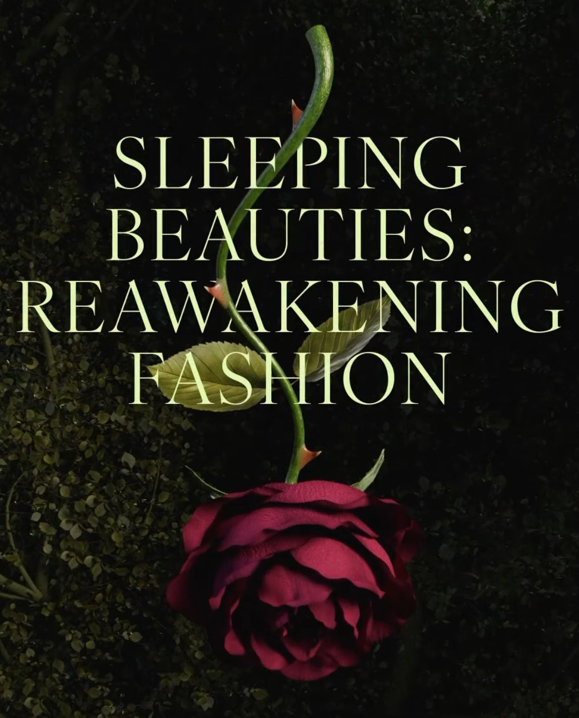 Nghe chủ đề Sleeping Beauty nên ai cũng nhanh chóng nghĩ đến những từ khóa như: Công chúa ngủ trong rừng, khu vườn, hoa và cổ tích.