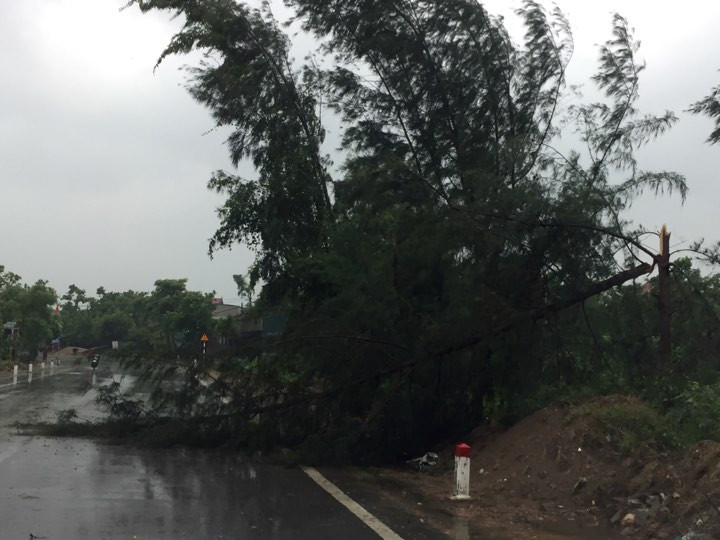 Bão số 10 càn quét miền Trung, ít nhất 4 người chết ảnh 59