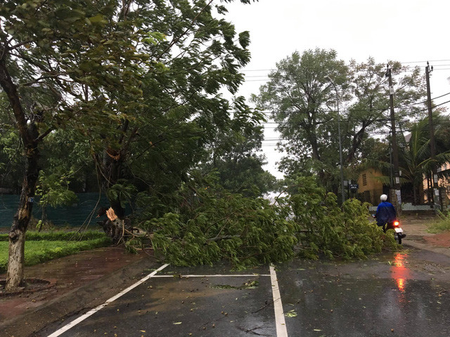 Bão số 10 càn quét miền Trung, ít nhất 4 người chết ảnh 57