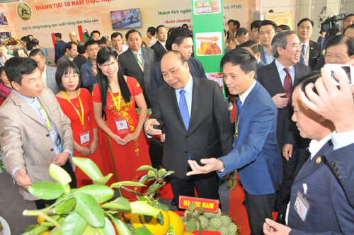 Thủ tướng Nguyễn Xuân Phúc chủ trì 'Hội nghị Diên Hồng' về 'tam nông' ảnh 8