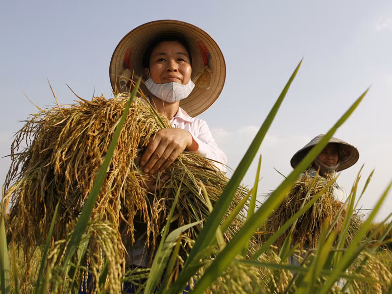 Nông dân được cho là đang chịu thiệt thòi. Nông dân được cho là đang chịu thiệt thòi